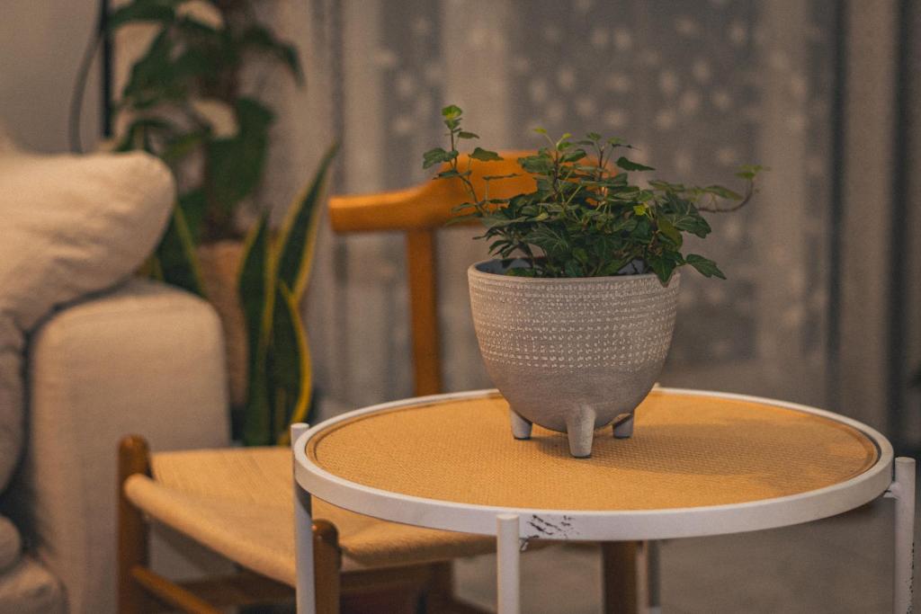 Posezení v ubytování Elegant Boho Style Studio Haven