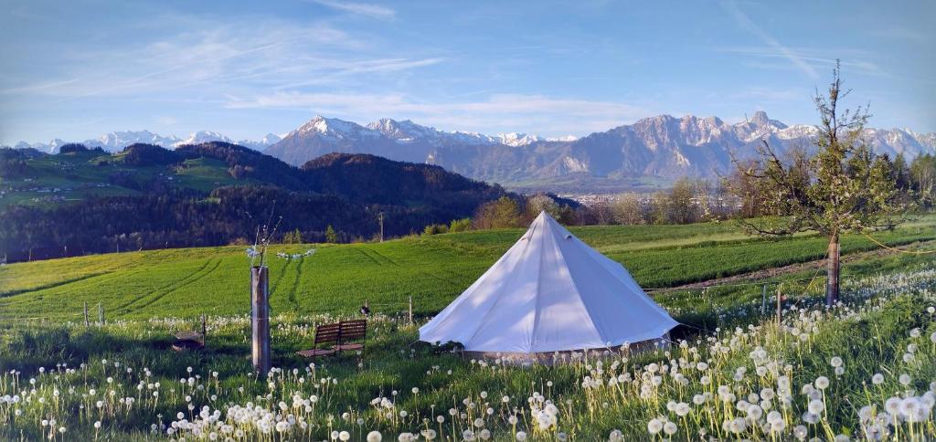 Příroda nedaleko luxury tent