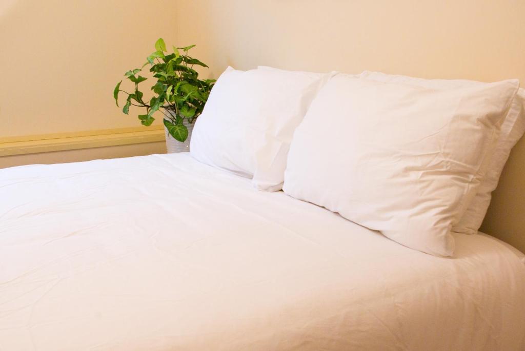 Una cama con sábanas blancas y una maceta en AnnArthur Guest House, en Nanaimo