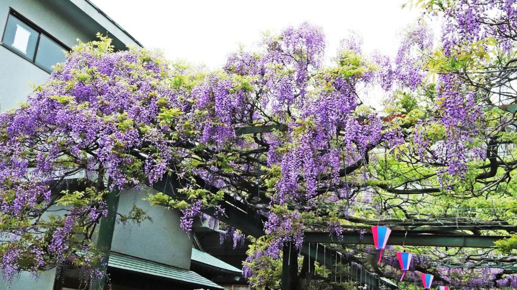 Zahrada ubytování Toyoko Inn Chofu Keio sen Fuda eki