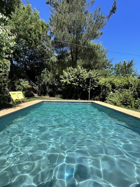 una piscina d'acqua con una sedia e alberi di Raíces del Ñuble a San Fabián de Alico