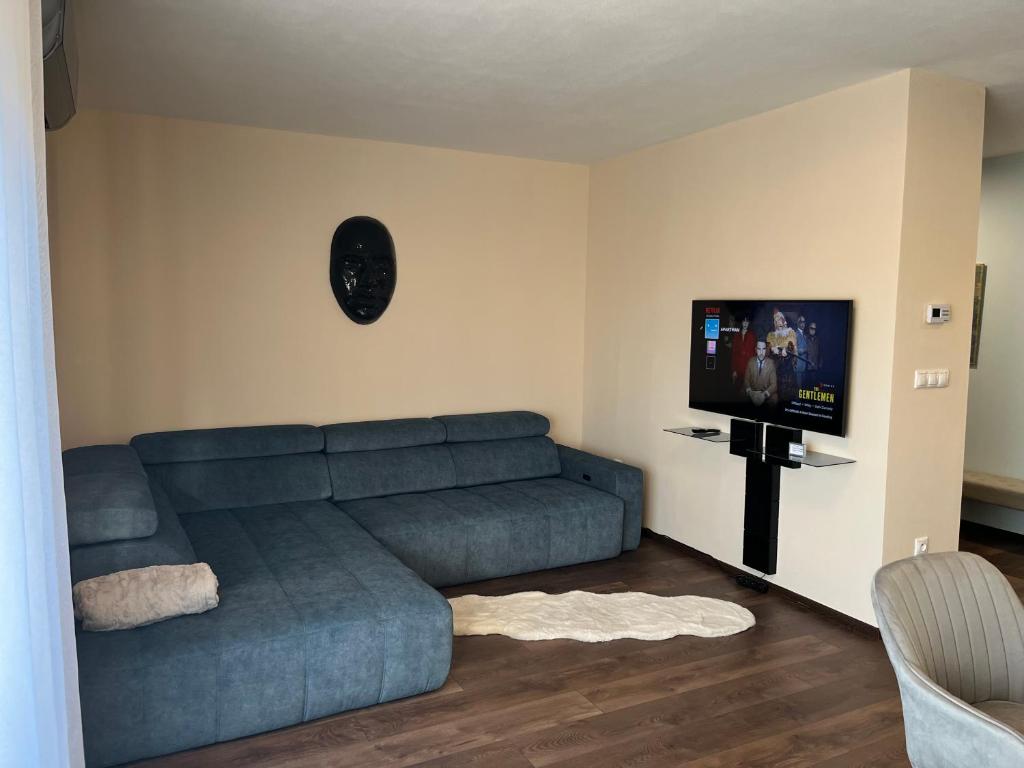 TV a/nebo společenská místnost v ubytování Esterhazy Apartman