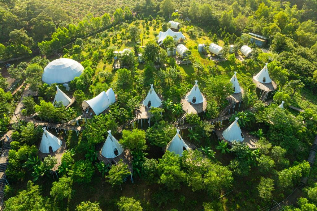 Příroda nedaleko luxury tent