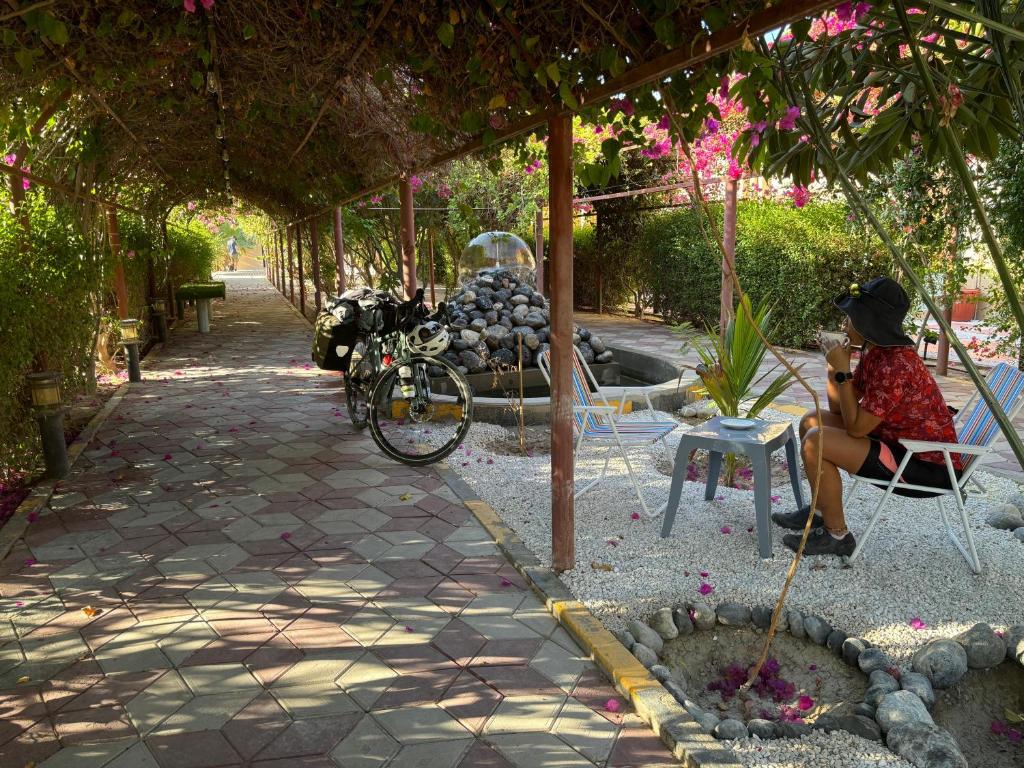 Zahrada ubytování Al Bayan Palms