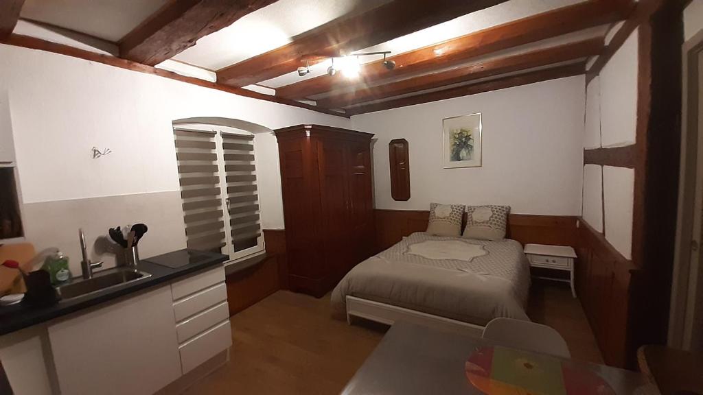 une petite chambre avec un lit et un lavabo dans l'établissement Appartement VAUBAN, à Colmar