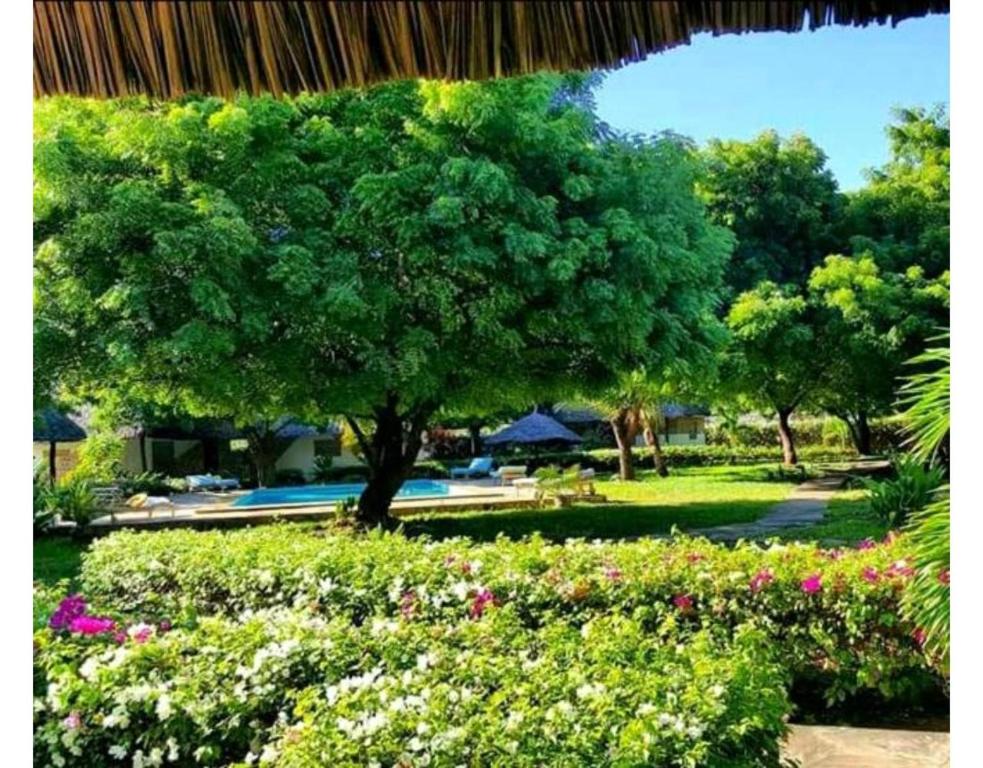 Zahrada ubytování Watamu Eco Villas