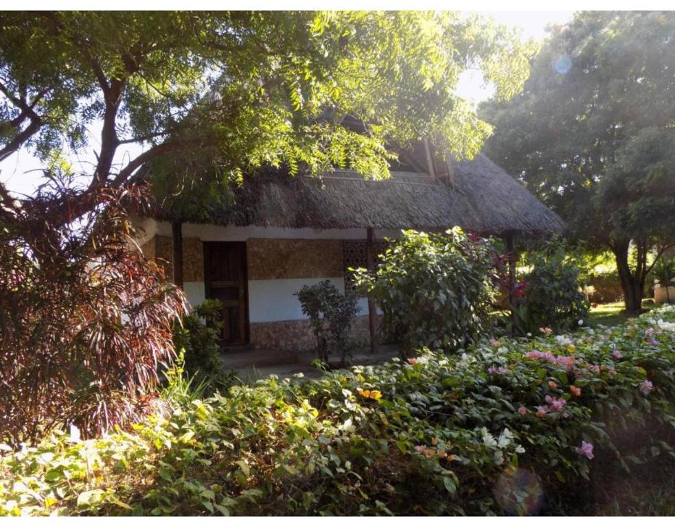 Zahrada ubytování Watamu Eco Villas