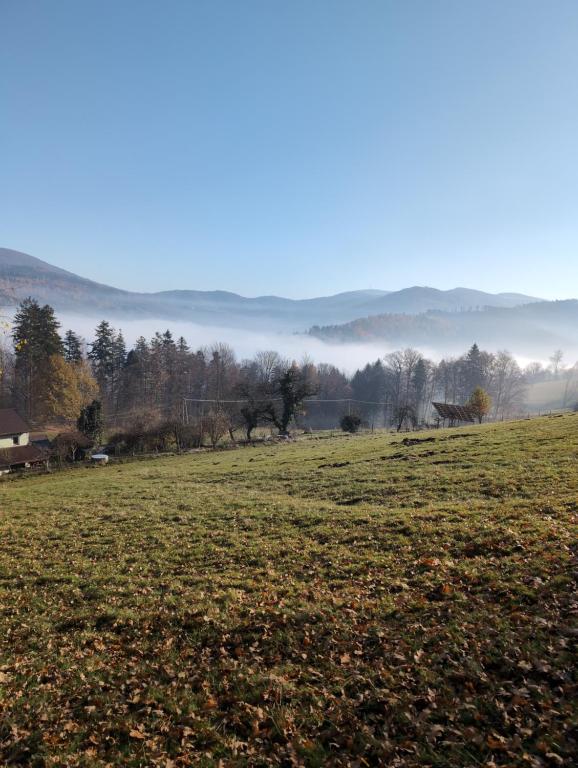 Príroda v okolí apartmánu