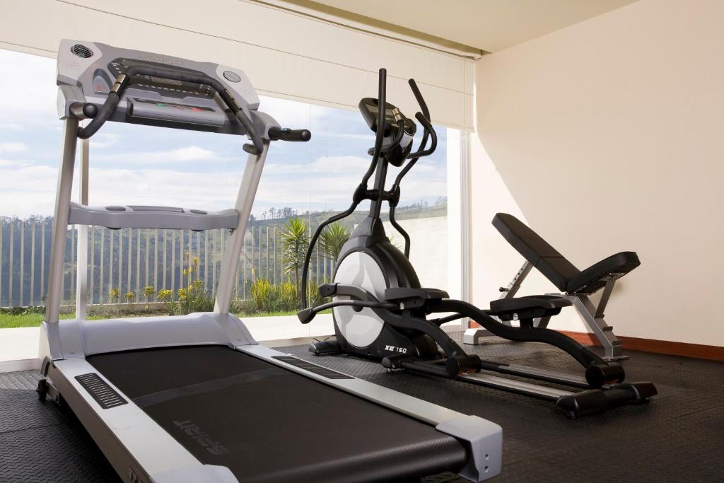 Fitness centrum a/nebo fitness zařízení v ubytování Hotel Stubel Suites & Cafe
