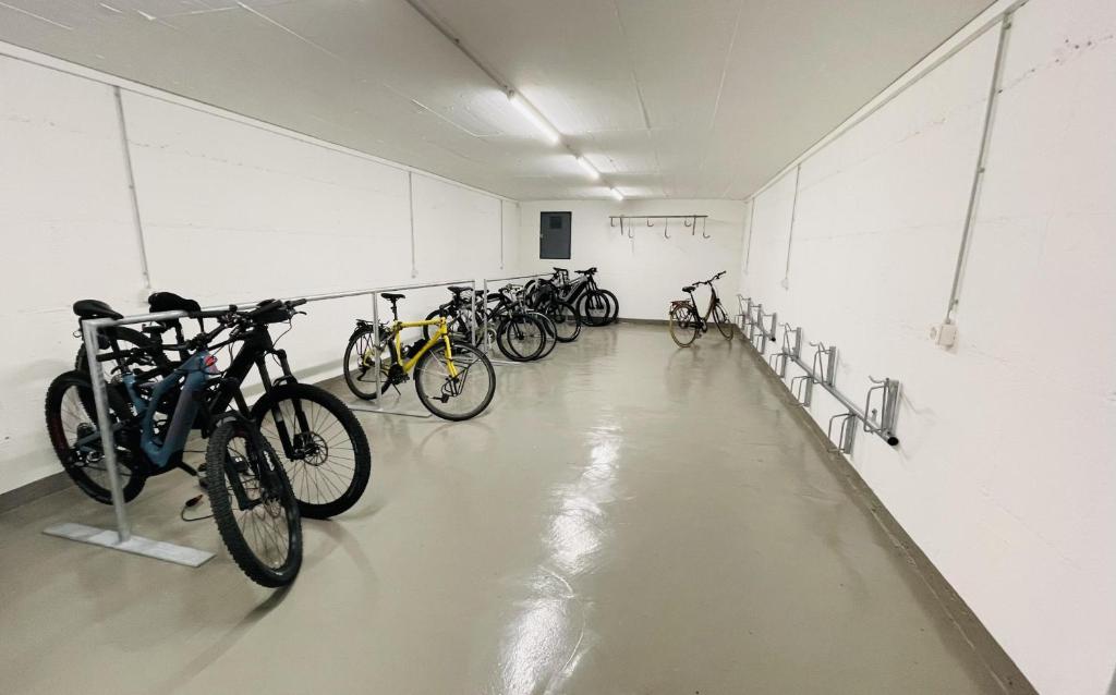 Jízda na kole v ubytování Brentschpark Wohnung 72 nebo okolí
