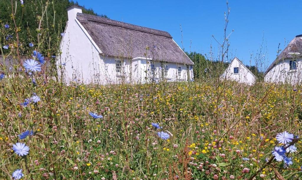 Corofin Lake Cottages photo