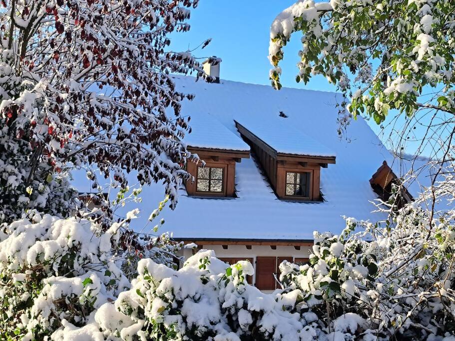 Το Traumwohnung mit eigenem Garten τον χειμώνα