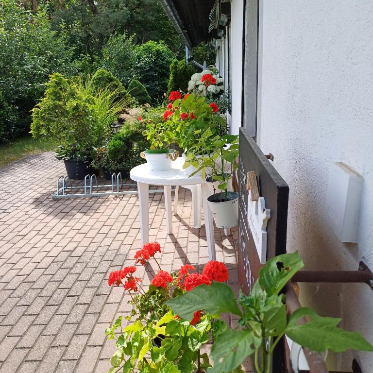Zahrada ubytování Pension Mark