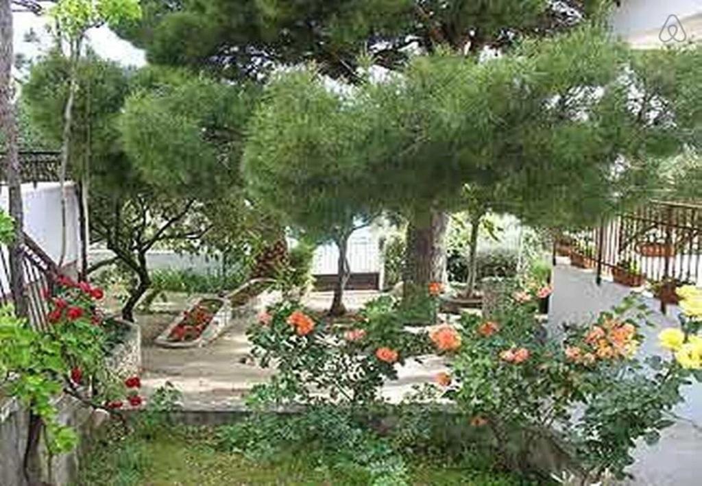 Zahrada ubytování Apartments Lidija