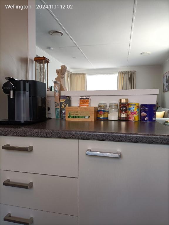 Comfy & Sunny home in Wellington--3 Heat Pumps - Resim 21