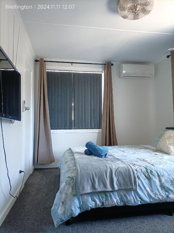 Comfy & Sunny home in Wellington--3 Heat Pumps - Resim 11