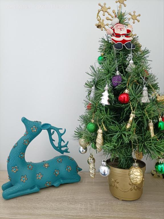 Comfy & Sunny home in Wellington--3 Heat Pumps - Resim 35