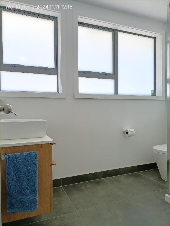 Comfy & Sunny home in Wellington--3 Heat Pumps - Resim 27