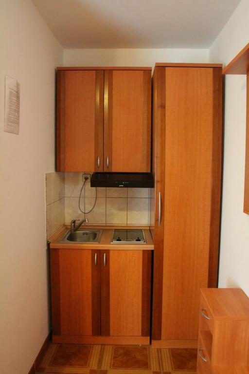 Dapur atau dapur kecil di Apartments Tonimir