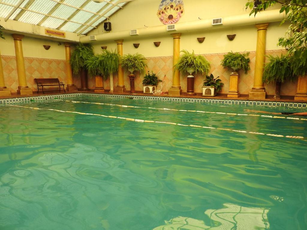 una piscina en un edificio con agua verde en Los Girasoles team family en El Bolsón