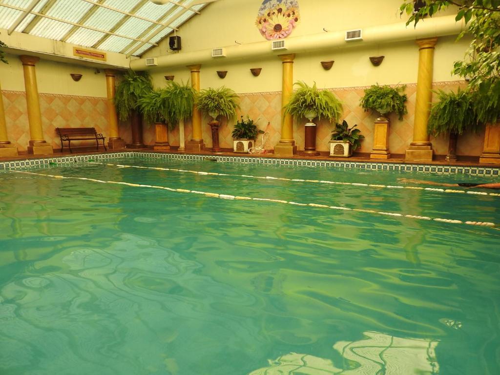 a swimming pool in a building with green water at Los Girasoles team family in El Bolsón