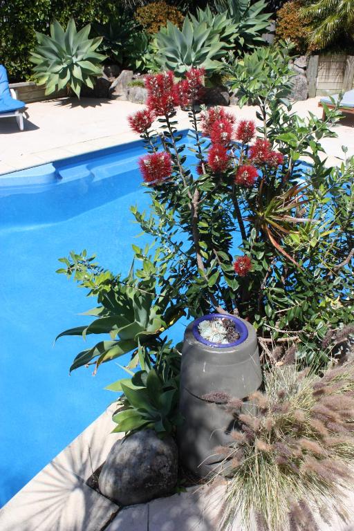 Bazén v ubytování Snells Beach Motel nebo v jeho okolí