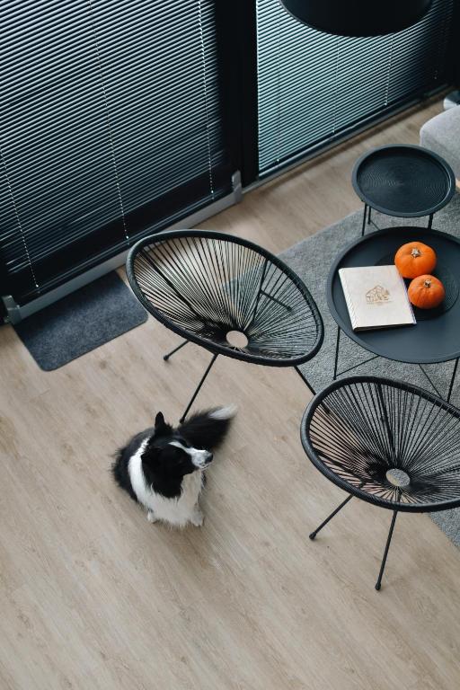 Domáce zviera alebo zvieratá hostí v ubytovaní KASZUBSKI LOFT Sominy
