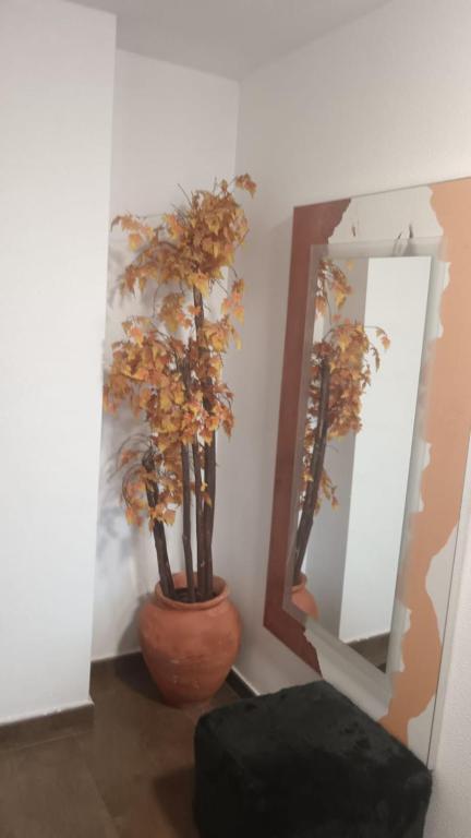 Fotografie z fotogalerie ubytování Apartamento Gloria Patricia v destinaci Alcantarilla