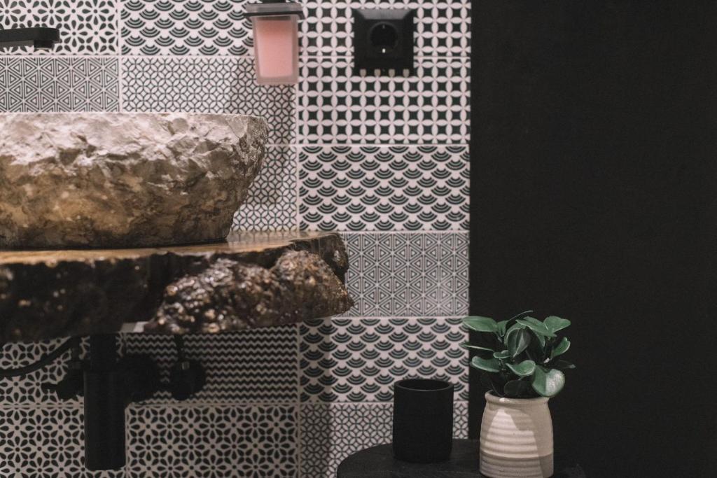 a bathroom with a stone sink and a potted plant at Photographer Rudolf's Studio - ground floor with separate entrance in Rīga