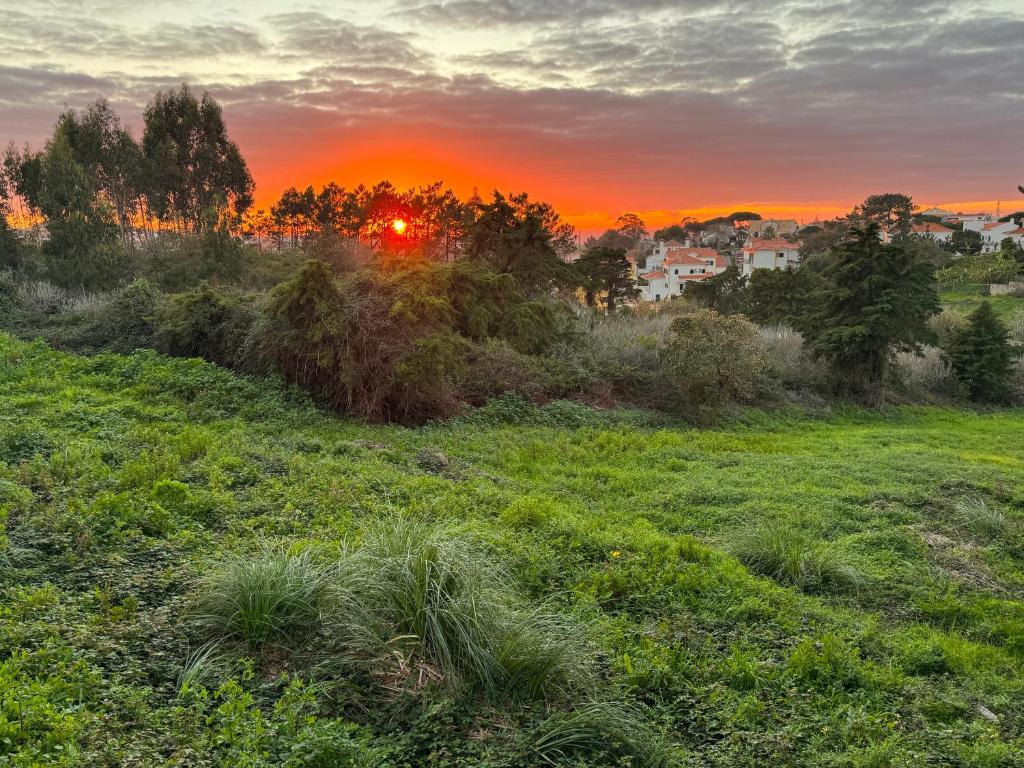 Boutique Hotel - O House Ericeira Hills - King Suite With Partial Sea View