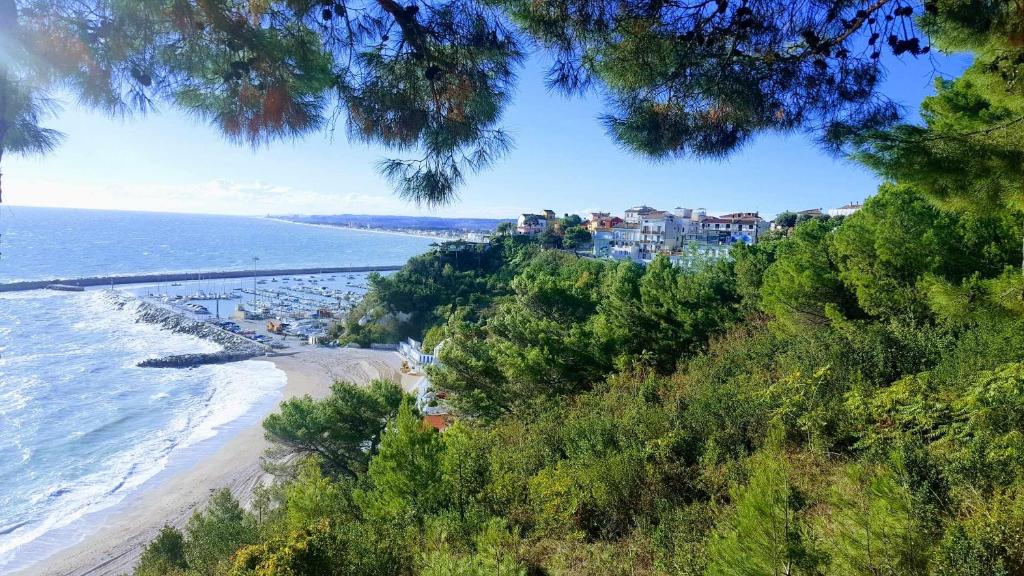 Príroda v okolí apartmánu