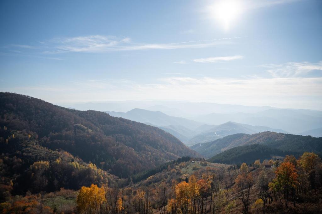 Apartman Nina - Resim 15