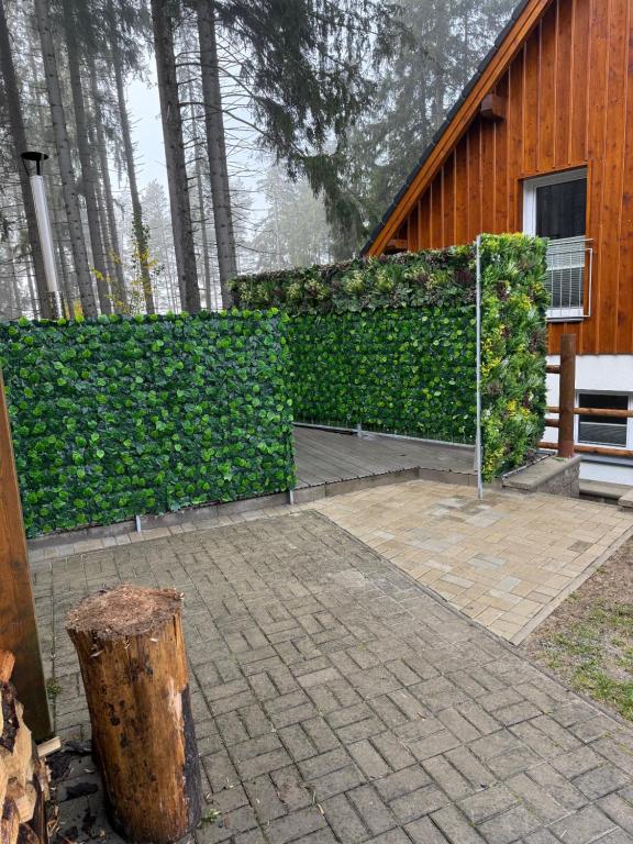 Zahrada ubytování SPA Lakeside LIPNO CLUB