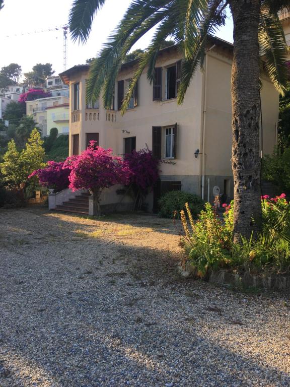 Vườn quanh Villa Fontana 56