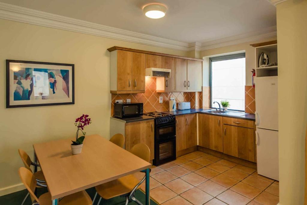 Kuchyň nebo kuchyňský kout v ubytování DCU Apartments