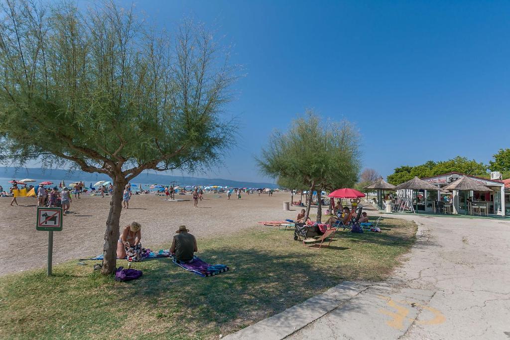 Príroda v okolí apartmánu