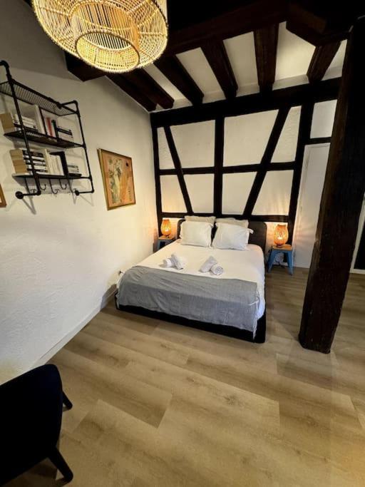 Suite Schwendi - Le petit tanneur - en Hypercentre – photo 17
