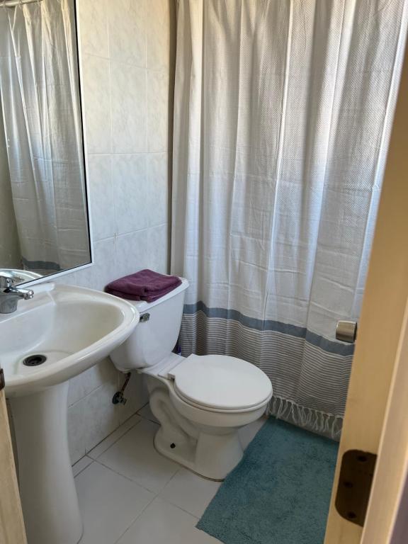 a bathroom with a toilet and a sink and a shower at Arriendo Casa dos pisos por dia in Puerto Montt
