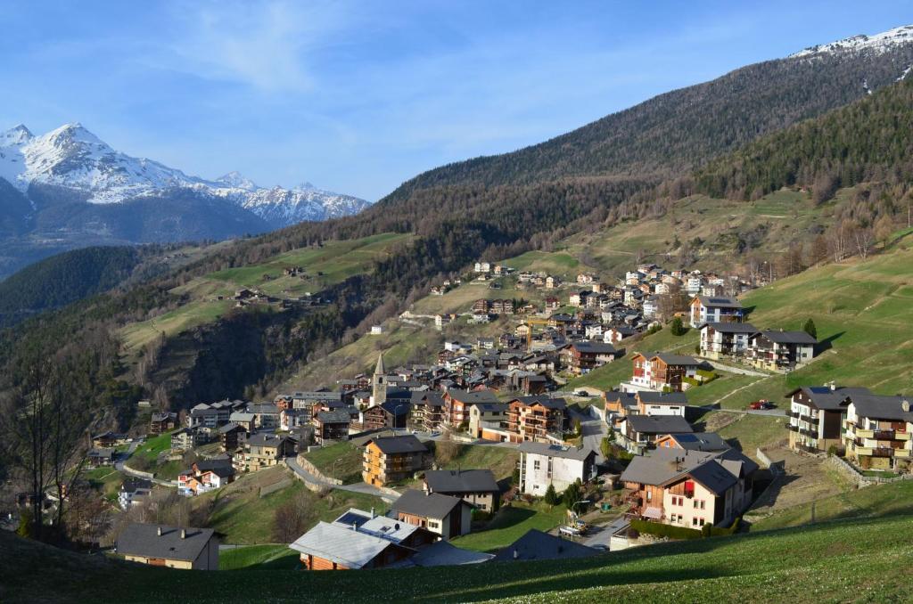 Příroda nedaleko apartmánu