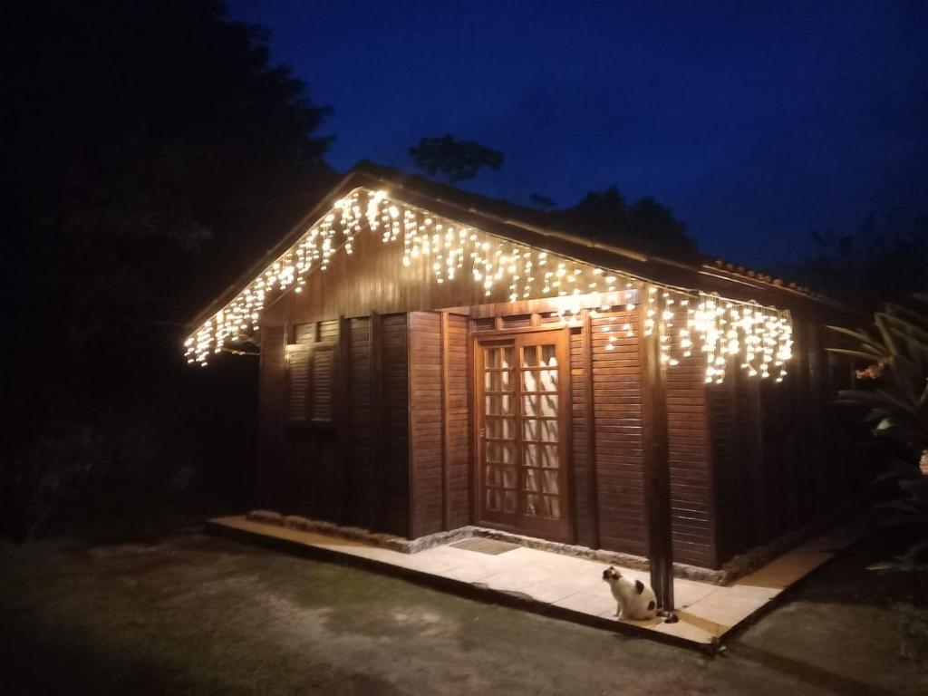 a cat sitting in front of a small cabin with lights at Cabana Family - Na Mata Atlântica in Juquitiba