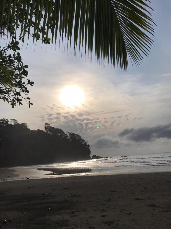 a sunset on the beach with a palm tree at Gästehaus am Meer in Água Izé