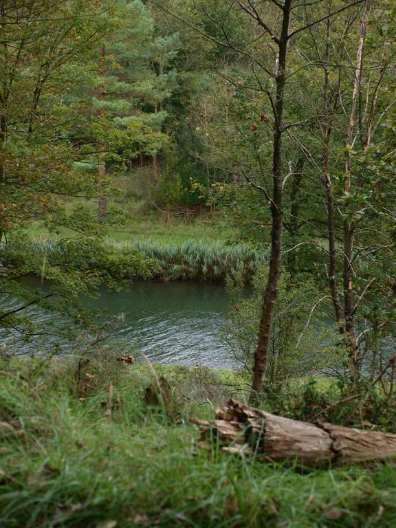 Natuurlandschap vlak bij het vakantiehuis