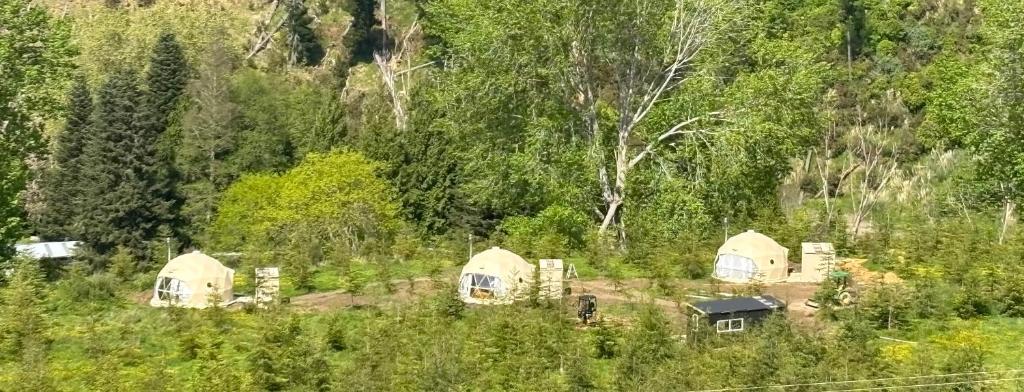 Příroda nedaleko luxury tent