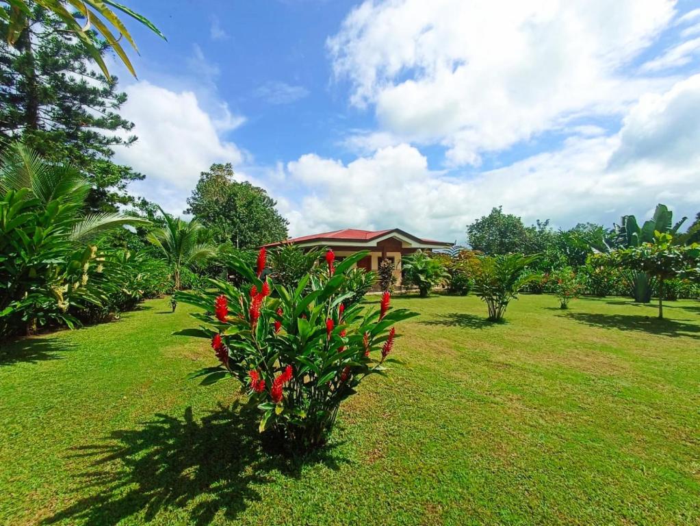 a bush with red flowers in front of a house at Villa Ceiba in Fortuna