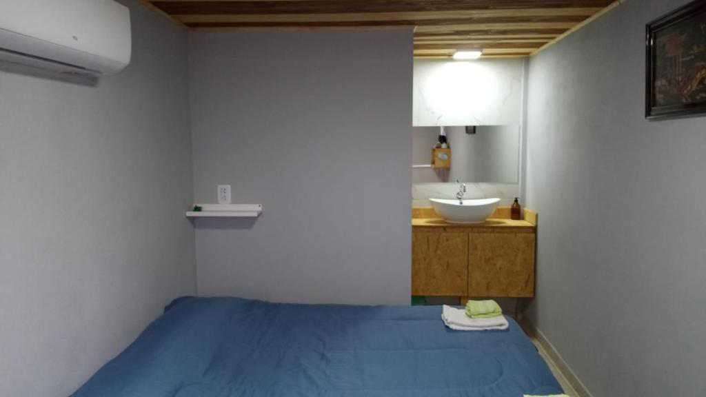 a bedroom with a blue bed and a sink at Alojamiento Loft céntrico in Esperanza