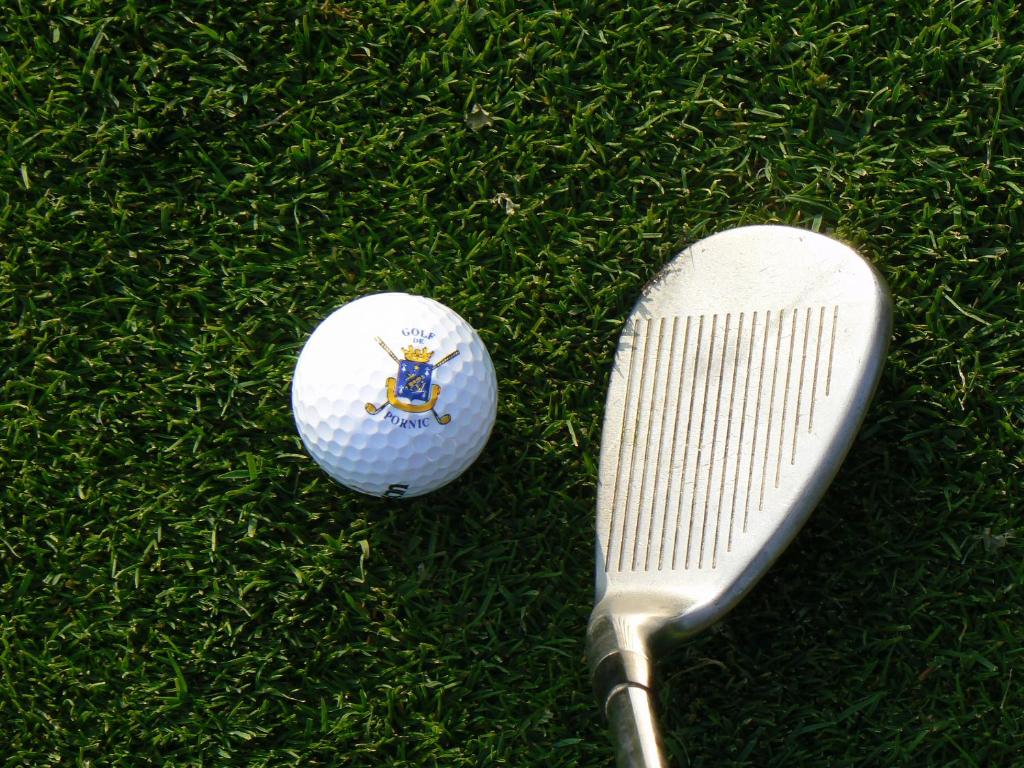 - une balle de golf et un club de golf sur l'herbe dans l'établissement Hôtel Beau Soleil, à Pornic