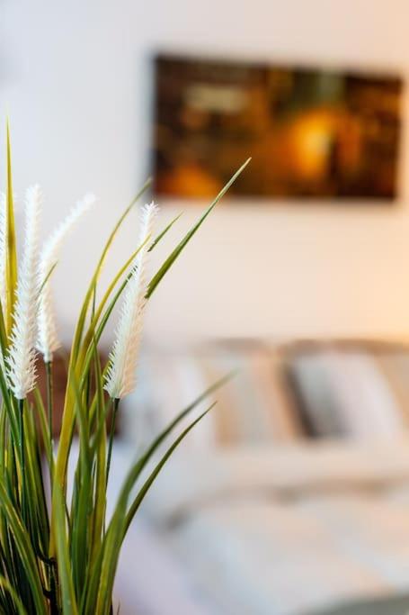 Nachhaltig Wohnen im 1, Stock, gratis Parkplatz! - Resim 9