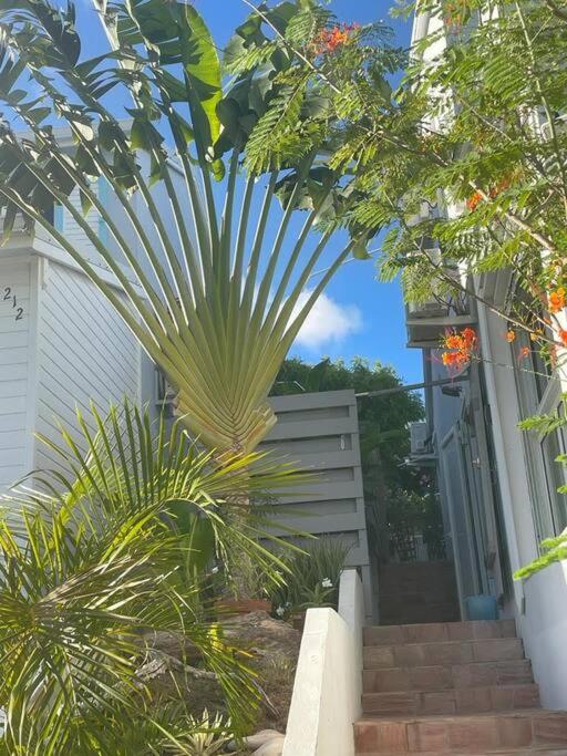 Traveler's Tree Palm House