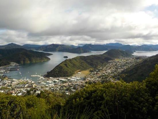 Beautiful Apartment Surrounded by Native Bush - Resim 26