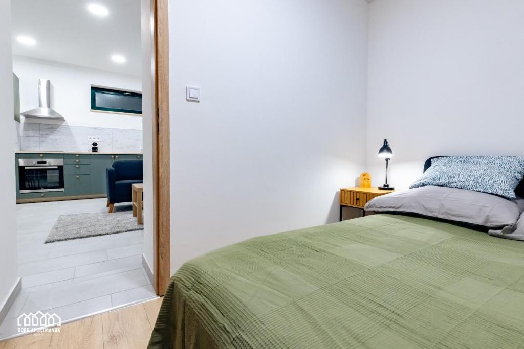 Kuchyň nebo kuchyňský kout v ubytování BORG Apartmanok